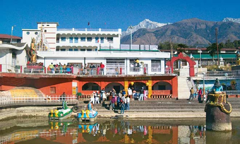 Hotel Bagora Heights-tea-garden